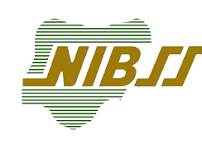 NIBSS Logo